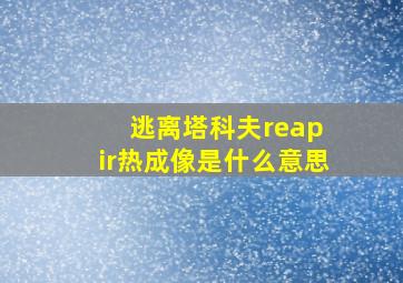 逃离塔科夫reap ir热成像是什么意思